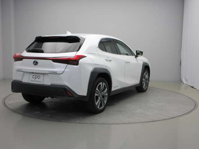 Lexus UX300e 6