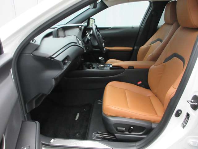Lexus UX300e 9
