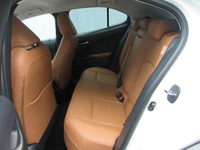 Lexus UX300e 10