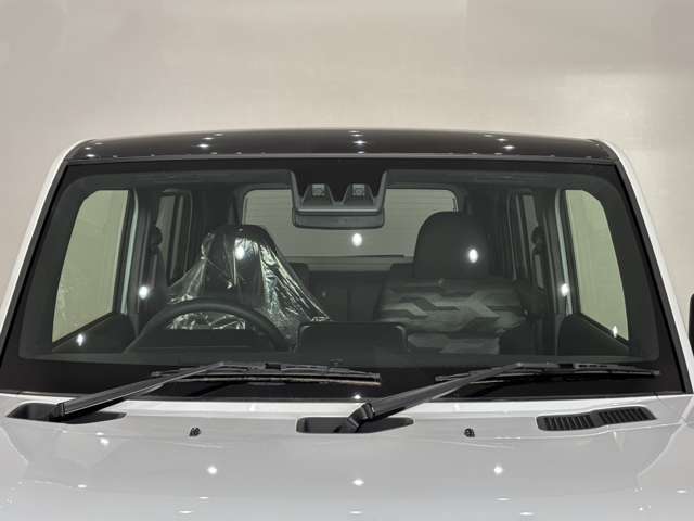 Daihatsu Taft 10