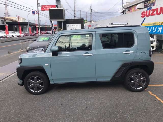Daihatsu Taft 8