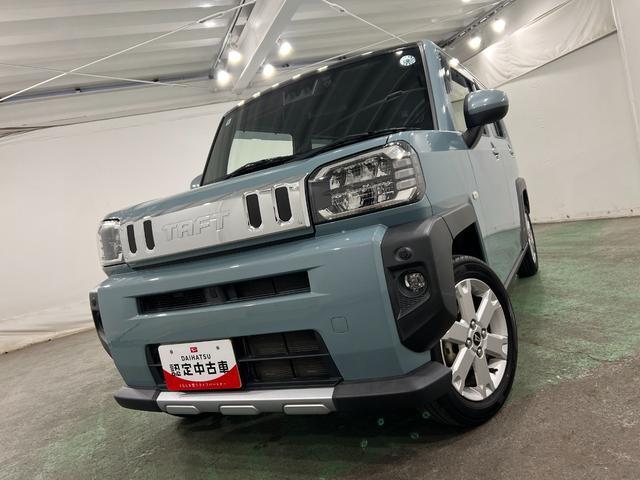 Daihatsu Taft 8