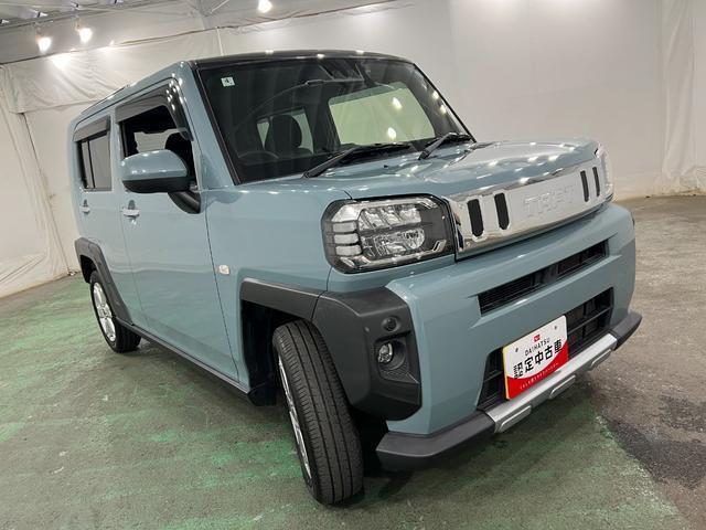 Daihatsu Taft 10