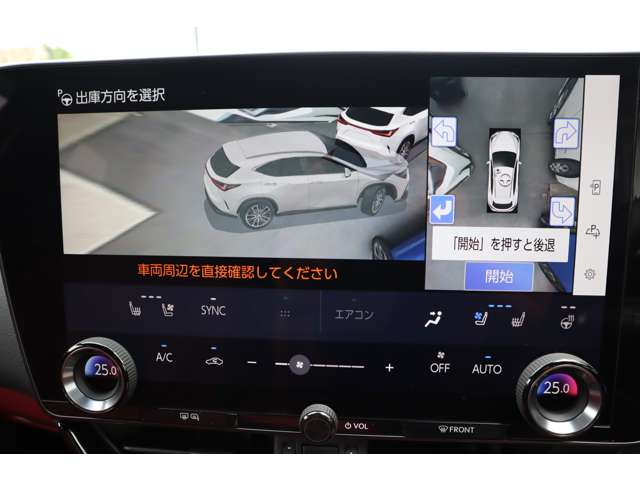 Lexus NX 12