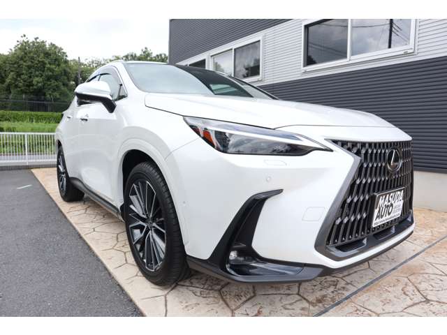 Lexus NX 3