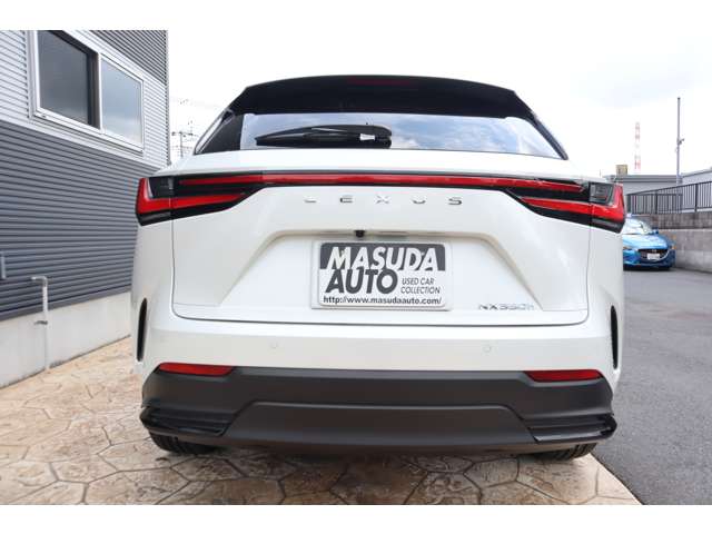Lexus NX 6