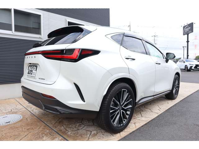 Lexus NX 7
