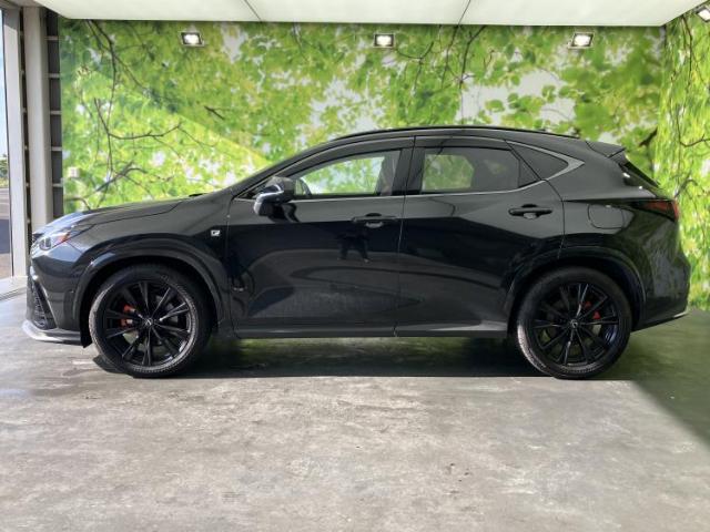 Lexus NX 5