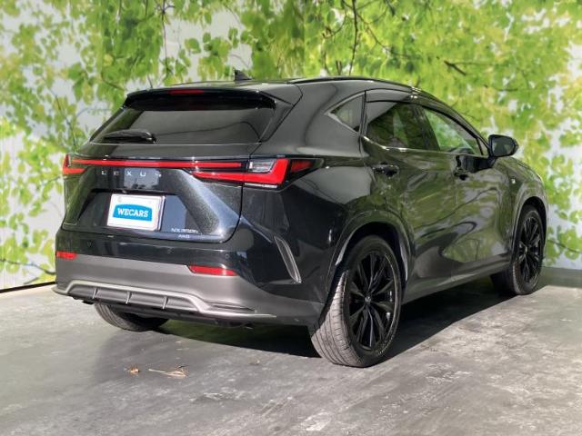 Lexus NX 6