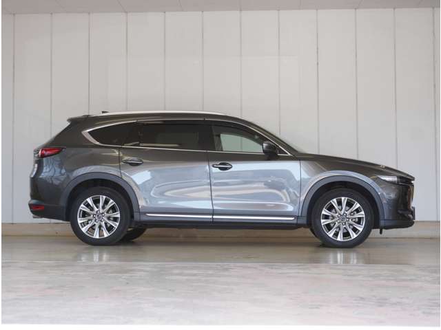 Mazda CX-8 6