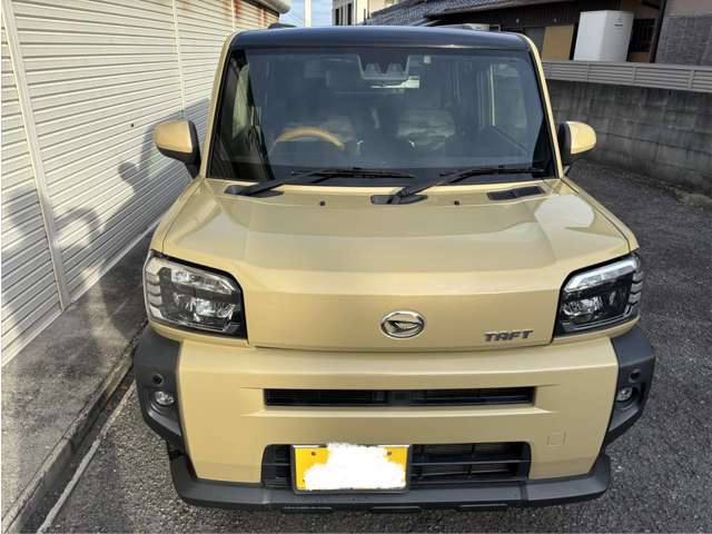 Daihatsu Taft 6