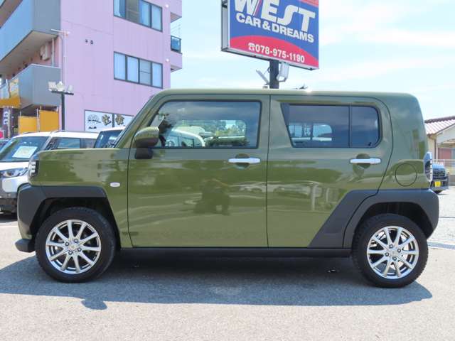 Daihatsu Taft 8