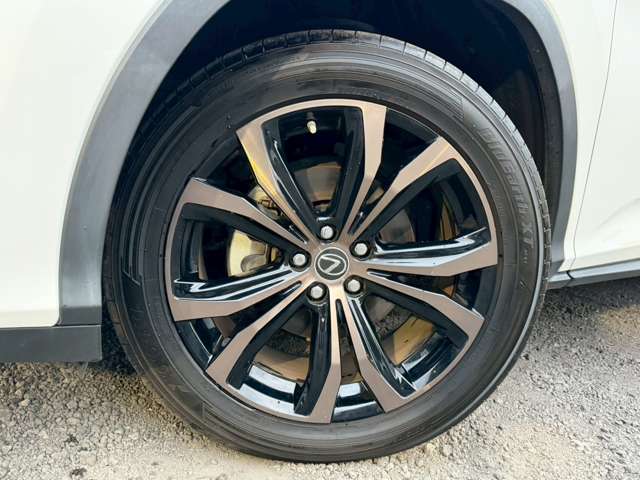 Lexus RX 11