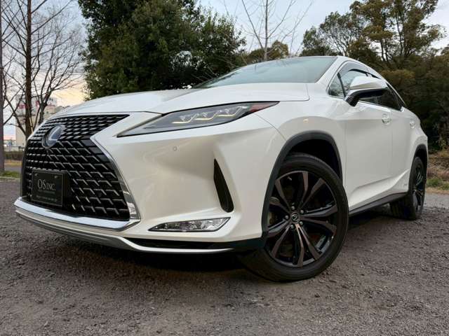 Lexus RX 10
