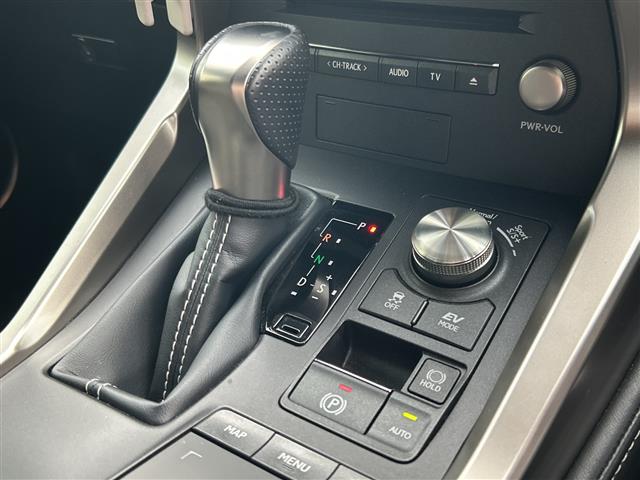 Lexus NX 12