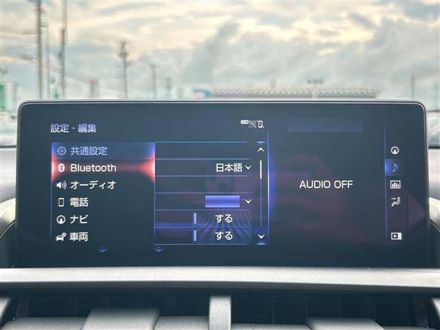 Lexus NX 6