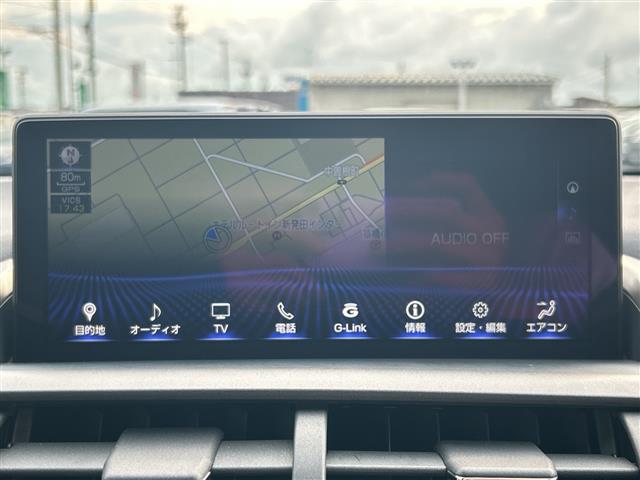 Lexus NX 8