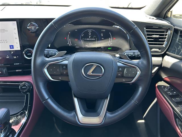 Lexus NX 12