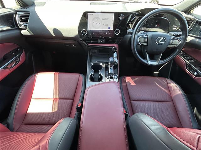 Lexus NX 4
