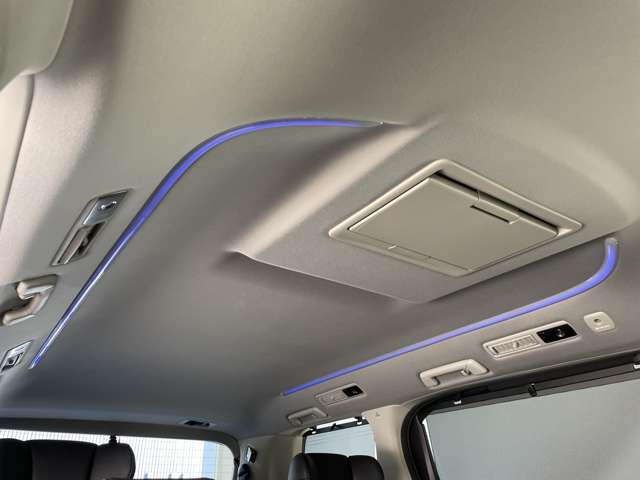 Toyota Alphard 9