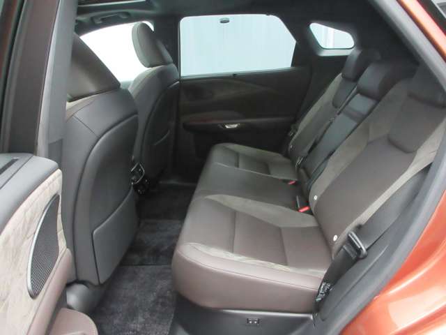 Lexus RX 11