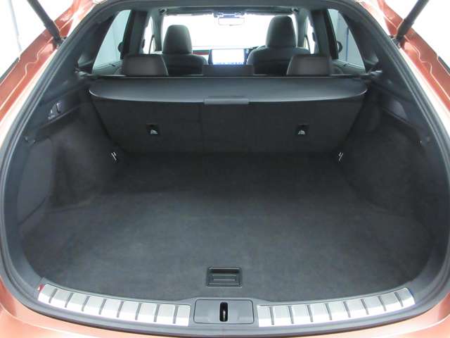 Lexus RX 9