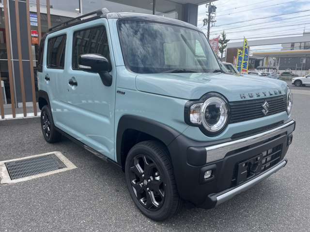 Suzuki Hustler 11