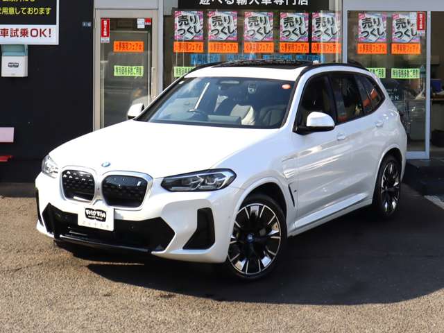 BMW iX3 5