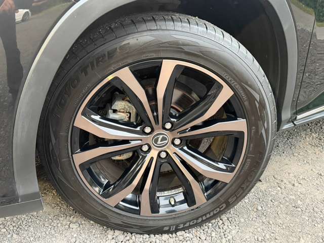 Lexus RX 11
