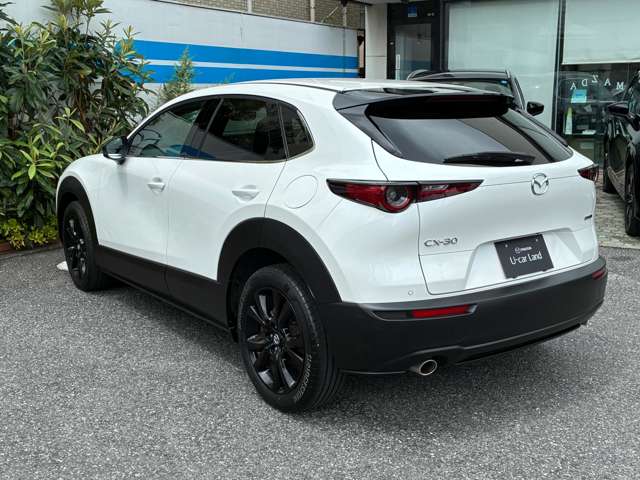Mazda CX-30 8