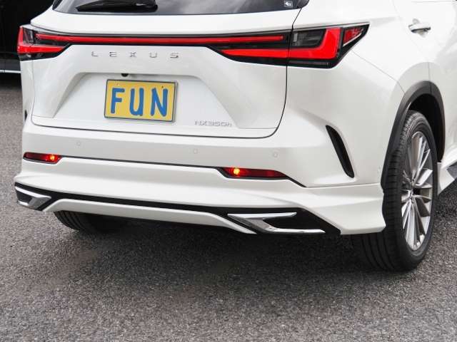 Lexus NX 12