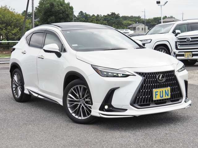 Lexus NX 3