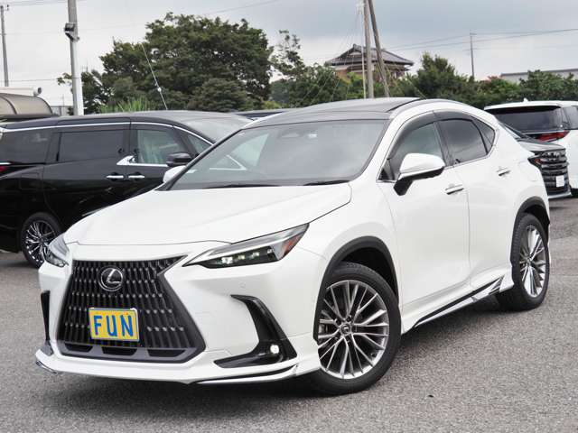 Lexus NX 4