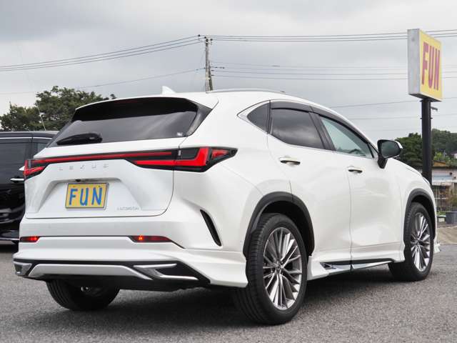 Lexus NX 6