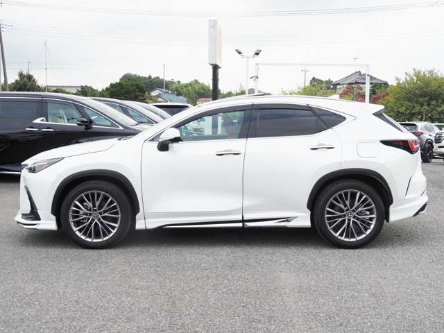 Lexus NX 8