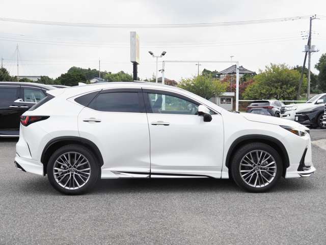 Lexus NX 9