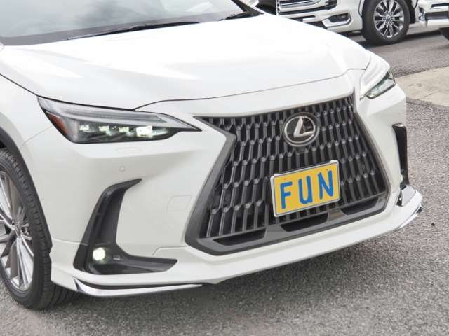 Lexus NX 10