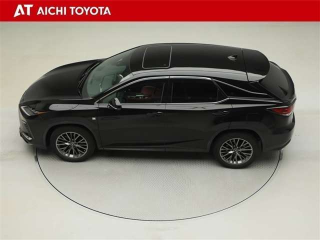 Lexus RX 11