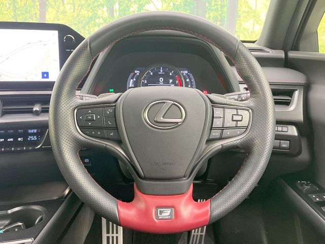 Lexus UX 11