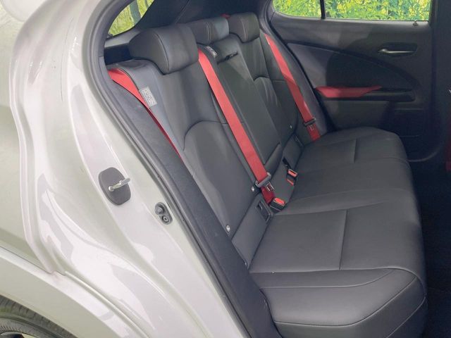 Lexus UX 9