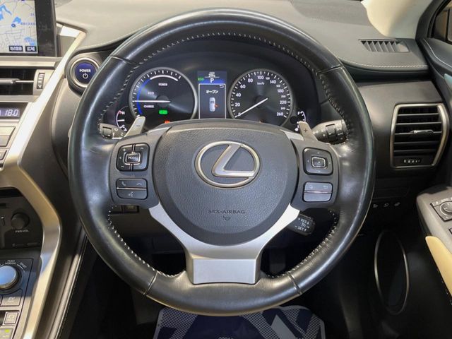 Lexus NX 11
