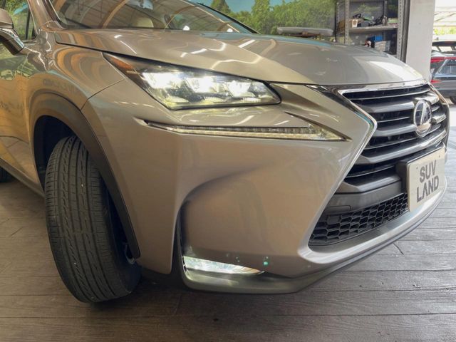 Lexus NX 12
