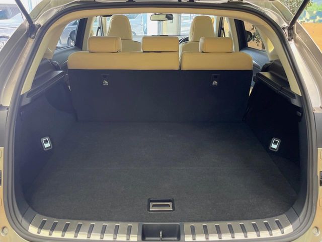Lexus NX 10