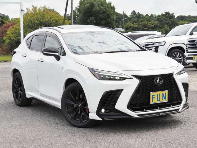 Lexus NX 3