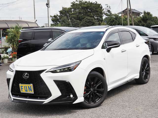 Lexus NX 4