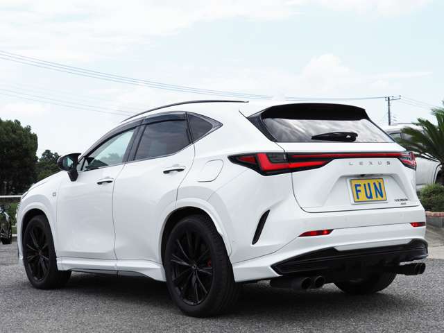 Lexus NX 6