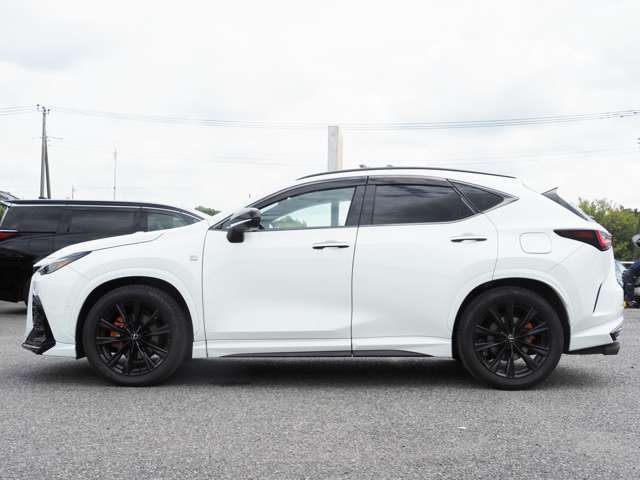 Lexus NX 8