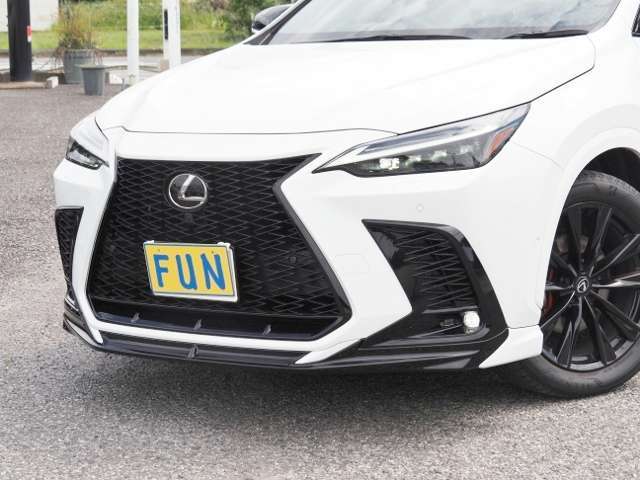 Lexus NX 10