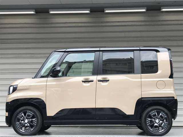 Mitsubishi Delica Mini 11