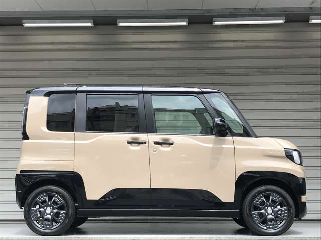Mitsubishi Delica Mini 7